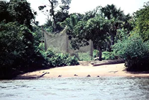 Suriname