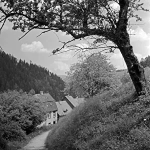 Triberg