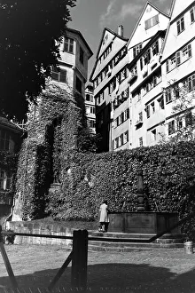 Springbrunnen Prints: Tübingen