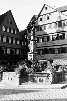 Springbrunnen Prints: Tübingen