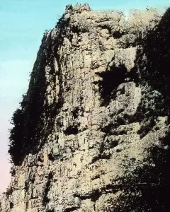 Muschelkalk Imprime: Thuringen Thüringen