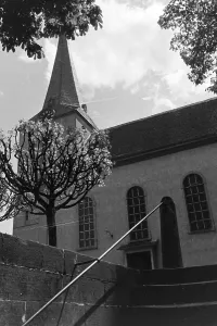 Rhine Stampe: Deidesheim (Weinstraße), Hambach (Weinstraße)