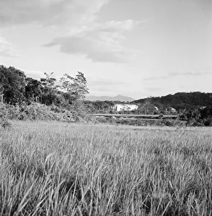Negativstreifen 5 Prints: Venezuela