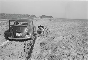 Volkswagen Prints: VW Beetle
