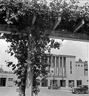 Weimar