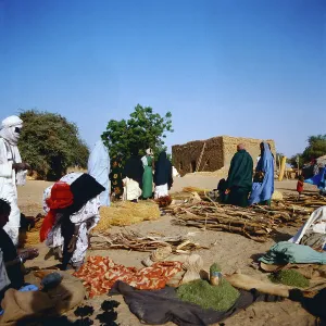 Westafrika / Saharadurchquerung