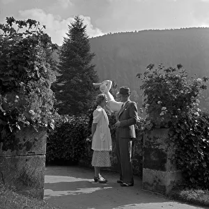 Wildbad