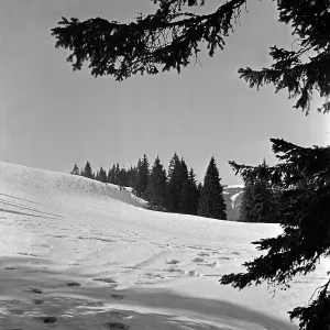 Textfreiraum Prints: Winter