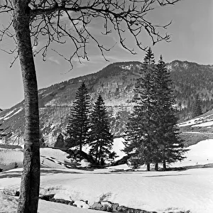 Feldberg Prints: Winter