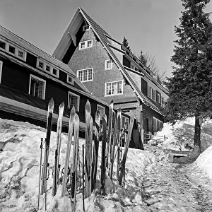 Feldberg Prints: Winter