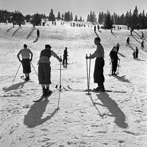 Feldberg Prints: Winter