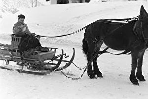 Winter