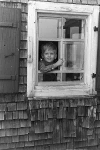 Window Prints: Winter