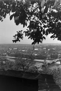 Hohe Schule Zu Wurzburg Prints: Würzburg