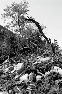Ausblick Prints: Zu Besuch in Tirol