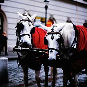 Wien